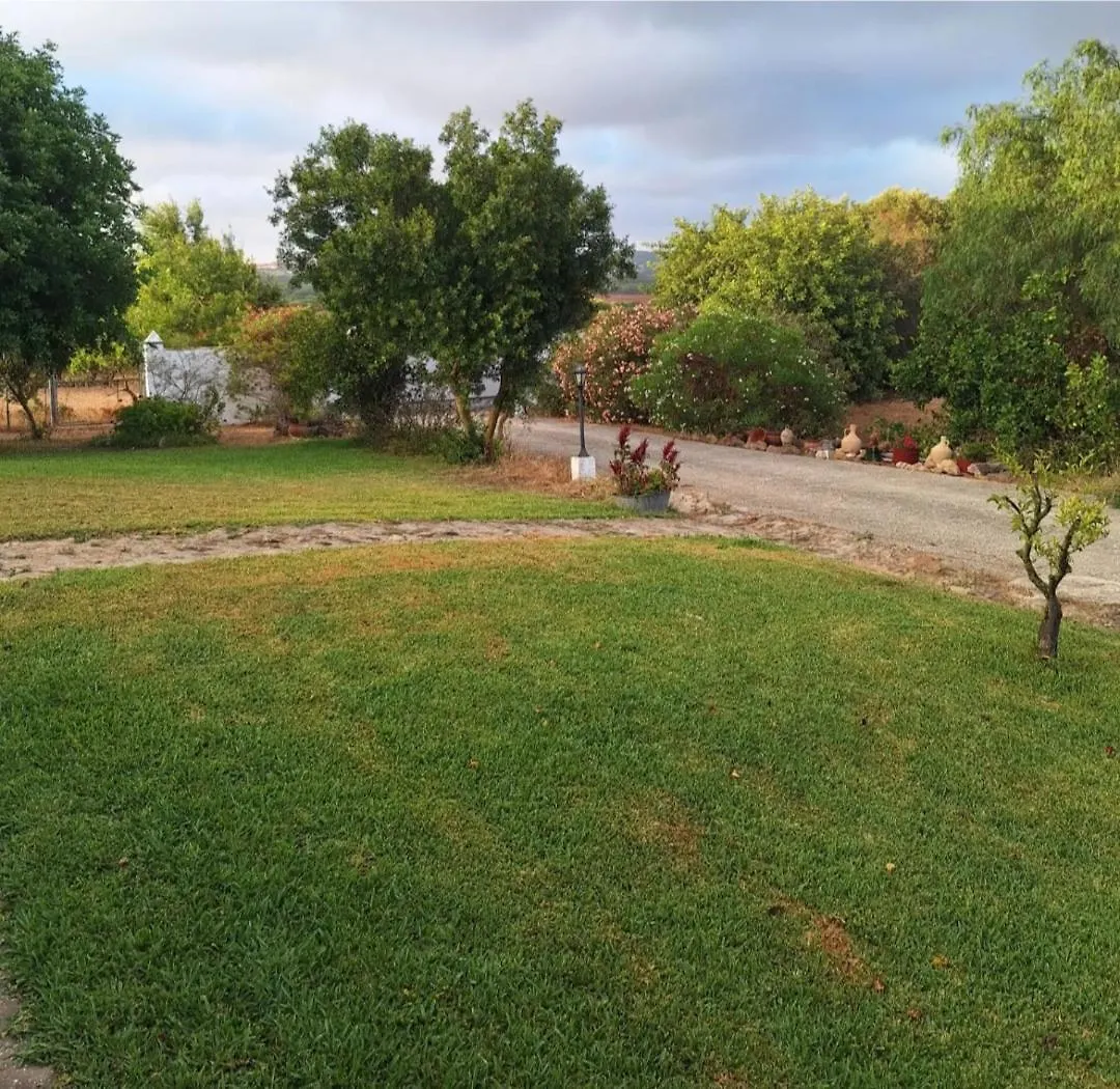 Holiday home Casa Rural El Nino Santamaria , Con Piscina Y Wifi Vejer de la Frontera