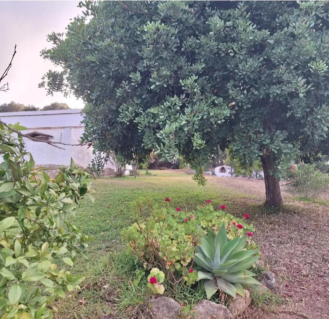 וחר דה לה פרונטרה Casa Rural El Nino Santamaria , Con Piscina Y Wifi 0*, וחר דה לה פרונטרה